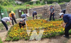나주시, 어르신 치매 예방·재활 돕는 미니 케어팜 운영