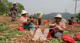 고흥군, 폭염 시 한낮 농작업 중단... 온열질환 예방