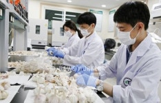 aT, 정부 비축농산물 안전성 검사 공신력 높인다