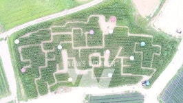 무안군, 삼향 복룡마을 주민공동체 농촌체험 행사 개최