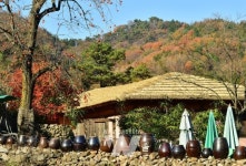 장성군, 축령산 금곡영화마을 가꾸기 한창