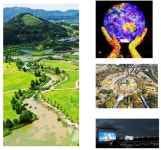 낮에는 국화축제, 밤에는 영화관람... 함평으로 힐링 여행 추천