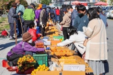 구례 감 특별 직거래 장터 성황리에 마무리