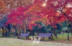 전남산림자원연구소, 산림복지 프로그램 운영