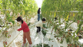 우리카드, 친환경 금융 위한 디지털 도시농부 성료