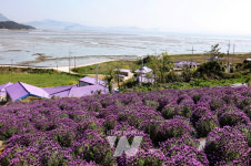 신안군, 유엔세계관광기구(UNWTO) 최우수 관광마을 선정기념 사진전 개막