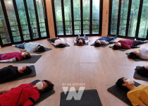 장흥군, 정남진 편백숲 우드랜드 산림체험 프로그램 내실화 박차