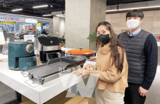 전자랜드, 서브 조리 가전 인기