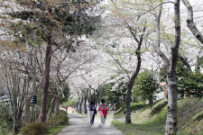 장흥군, 예양공원 휴식과 문화 복합공간 새단장