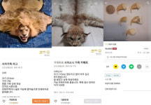 당근마켓·번개장터서 통 모피 거래… 이용자 신고에 미노출 조치도