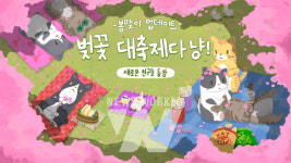 네오위즈 모바일 게임 '고양이와 스프', 봄맞이 벚꽃 이벤트 진행