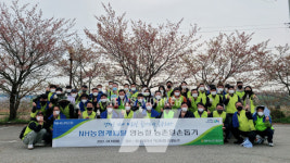 NH농협캐피탈, 천안시 직산농협 관내 배농가 일손돕기 실시