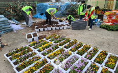 무안군사회복지협의회, 힐링 꽃길 조성