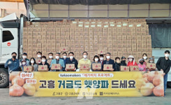 고흥산 햇양파, 농가 돕기 온라인으로 150톤 판매 실적 올려