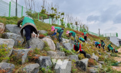 해제면 새마을협의회‧부녀회, 환경 정화활동 실시