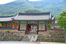 한국관광공사 선정 안심관광지,  천년고찰 영광 불갑사로 떠나는 자연여행!
