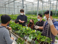 스마트팜 청년창업 교육 인기... 미래 보고 도전한 청년 많아