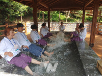 정남진 편백숲 우드랜드 산림치유 프로그램 인기