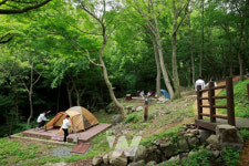 보성군, 제암산자연휴양림 광주 근교 피서지 인기
