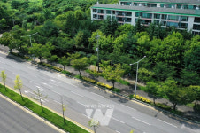 광주시, 걷고 싶은 가로수길 임방울대로 선정