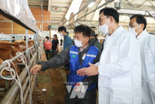 윤병태 나주시장, 축산농가 애로 청취 … 영산포 우시장 방문