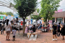 장흥 용산면, 전통시장 마실장 행사 인기