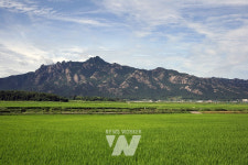 [기획특집] 우승희 영암군수, 영암군민 모두가 행복한 추석이 되길..