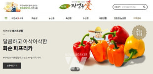 화순팜, 추석 특판 최대 매출... 2500여만 원 달성