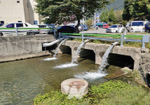 화순군, 만연천에서 천연기념물 수달 발견