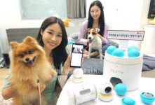 LG U+, 스마트홈 펫토이 출시