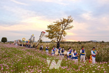 가을의 진심을 담다... 제7회 영산강 서창들녘 억새축제성료