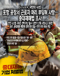 현대힘스(주) 포항2공장 | [ㄴㅅㅇㅋ_국민의 시선] 현대힘스 포항 공장서 근로자 머리 부딪혀 사망…중대재해처벌법은 무용지물 인가!