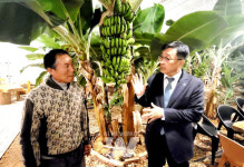 aT, 익산시와 농수산식품산업 발전 모색 및 열대과일 육성 논의