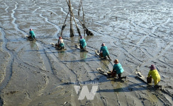보성군이 바다로 간 이유? 해양레저·생태 관광 허브 만든다