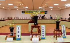 진도춘란 전시회… 엽예품 등 100여 점 전시