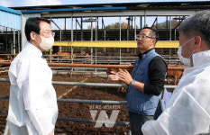 강진군, 한우 보증씨수소 2호에 도전!