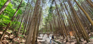 장성군, 산림청 주관 2023년 유휴산림 자산화 공모사업 선정