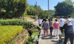 무안군, 걷는 즐거움! 얻는 건강!... 마을터 걷기 동아리 성료