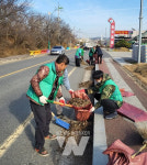 무안군 일로읍 새마을지도자, 환경정비로 구슬땀