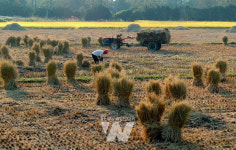 전남도, 친환경농업 기반구축사업 전국 최다... 9개소 선정돼 88억 확보