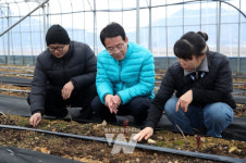 강진원 강진군수, 올해 첫 청년 영농현장 방문 격려