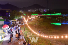 장성 황룡강 가을꽃축제 2023년 전남 대표축제 선정!