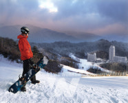 휘닉스 평창 스노우파크, 스프링시즌패스 판매 40% 증가