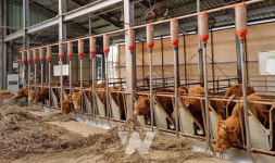 전남도, 전국 유일 축산 사료 구매자금 무이자 지원