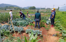광주 본량농협, 주말농장 분양 모집