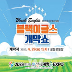 보성세계차엑스포, 블랙이글스 에어쇼 유치