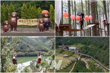 보성군 제암산자연휴양림, 전라남도 유니크베뉴 선정