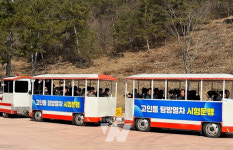 봄꽃과 함께 떠나는 시간여행!... 화순고인돌축제 D-26