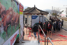 전남도, 한우 수급 안정 총력 대응