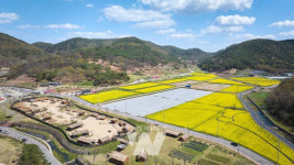 화순군, 봄축제 기간 고인돌 유적지 내 차량 전면 통제